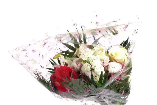 bouquet blanc emballé dans du film polypro transparent à imprimé floral rose
