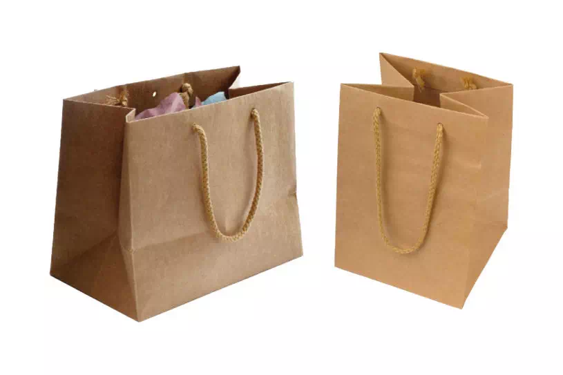 photos de sacs luxe brun petit et grand avec poignées cordelettes.