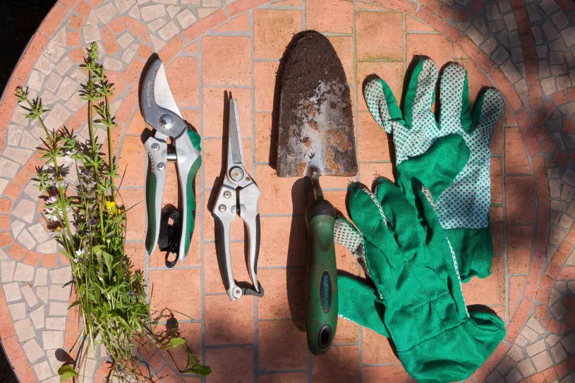 photos de matériel pour fleuriste : pinces et gants de protection.